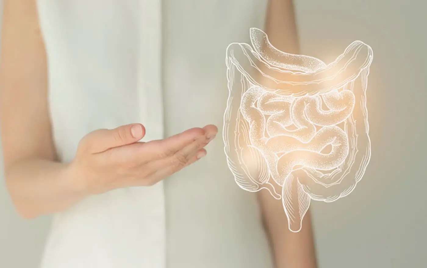 Symbolbild Darmgesundheit: Hände umrahmen eine schematische Darstellung des Darms